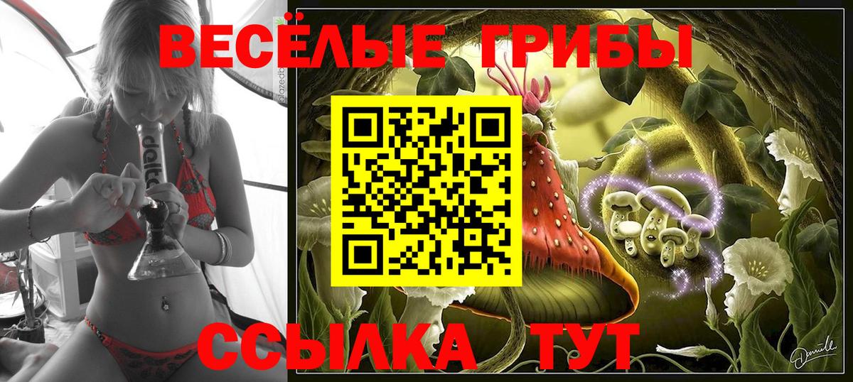 Галлюциногенные грибы MAGIC MUSHROOMS  Вход с VPN  купить наркотик  Ишимбай 